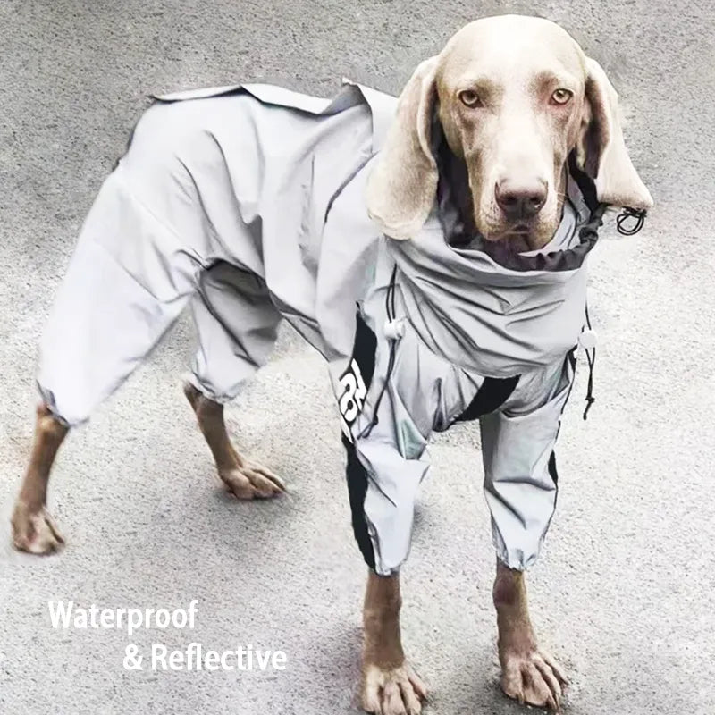 Reflective Waterproof Dog Raincoat: Outdoor Jacket for Pets